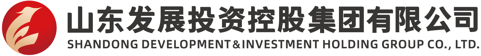 山东发展投资控股集团有限公司