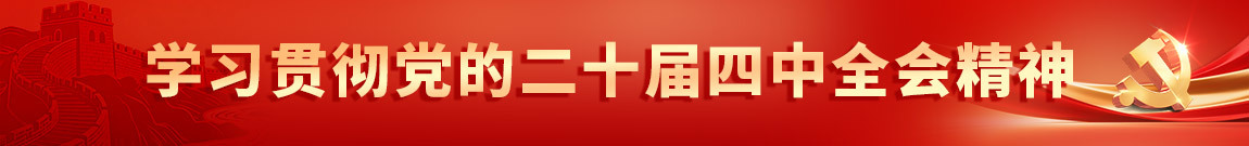 学习贯彻党的二十届四中全会精神