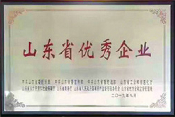 山东省优秀企业